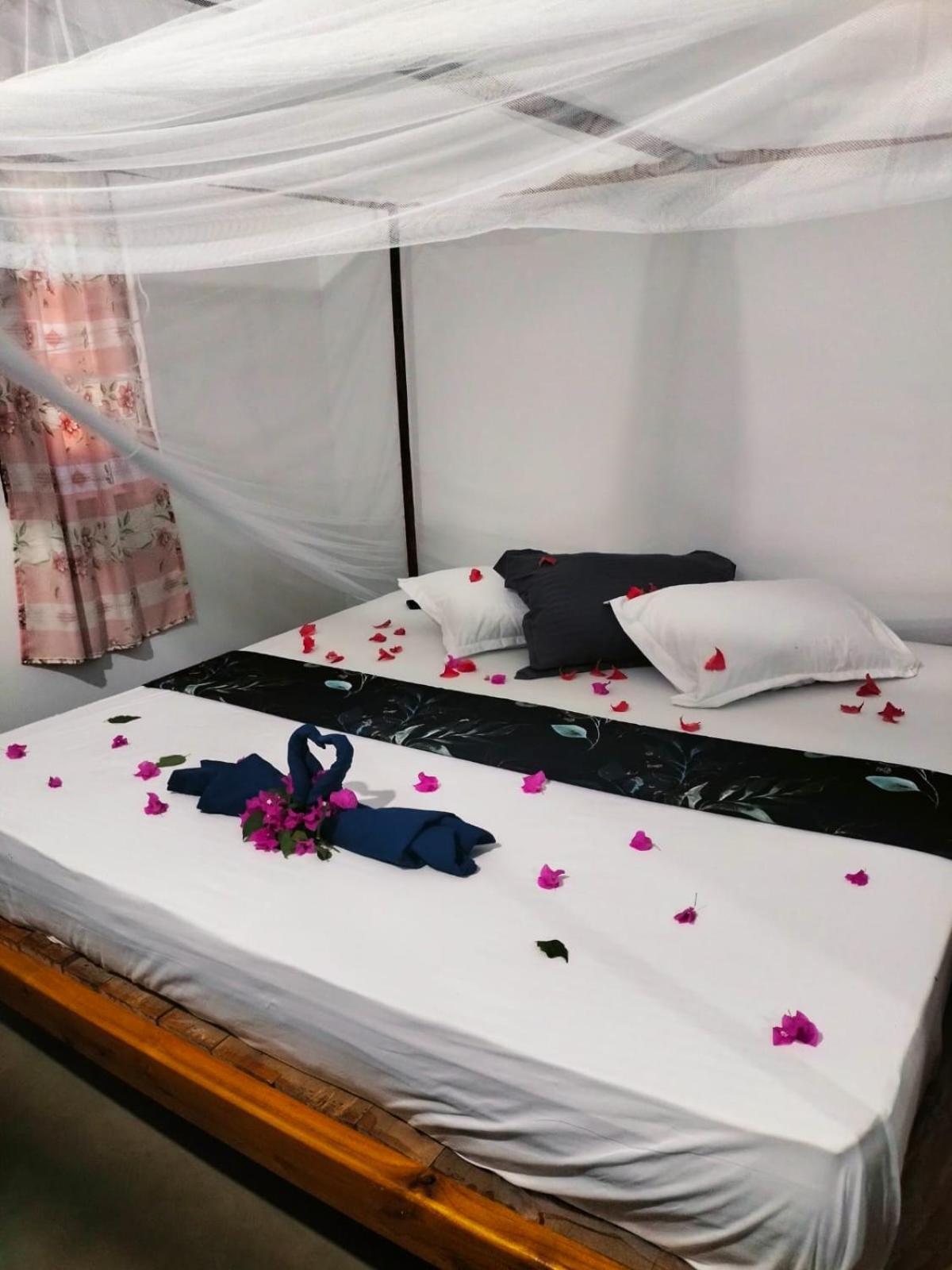 Costels Arugambay Hostel Arugam Bay Kamer foto