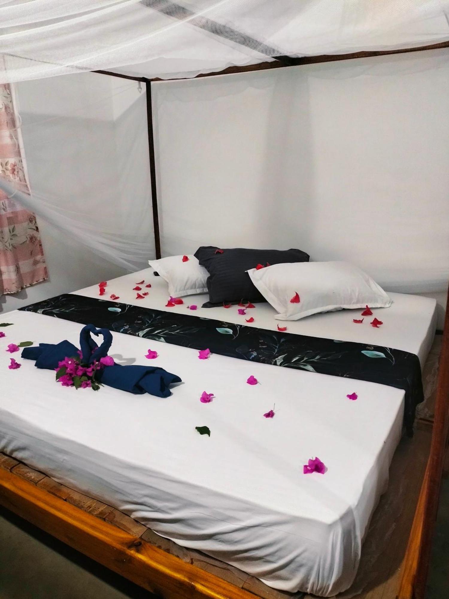 Costels Arugambay Hostel Arugam Bay Buitenkant foto